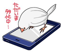 Cute Java sparrow stamp sticker #2862321