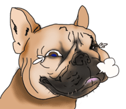 French Bulldog Stickers sticker #2864843
