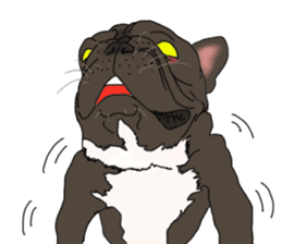 French Bulldog Stickers sticker #2864846