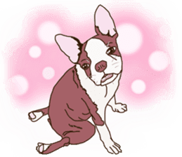 French Bulldog Stickers sticker #2864847