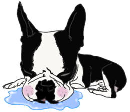 French Bulldog Stickers sticker #2864865