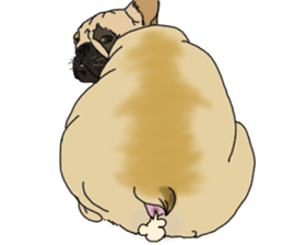 French Bulldog Stickers sticker #2864868