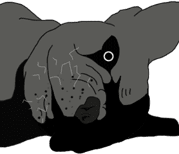 French Bulldog Stickers sticker #2864879