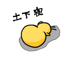 Chicks vapid sticker #2865972