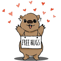 Wollie the Baby Wombat