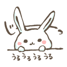 Everyday of rabbit and cat sticker #2869317