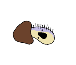 kinokoala sticker #2869619