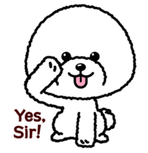 Bichon Frise(English) sticker #2871656