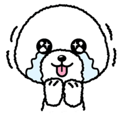 Bichon Frise(English) sticker #2871674