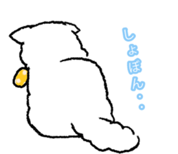 Popo of Persian cat sticker #2874177