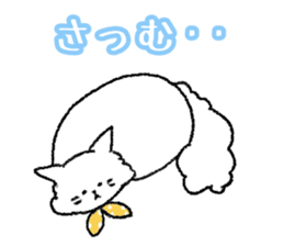 Popo of Persian cat sticker #2874202