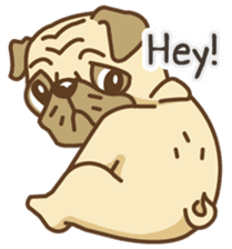 KaiToon (Eng) sticker #2874731