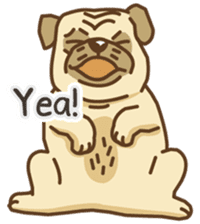 KaiToon (Eng) sticker #2874732