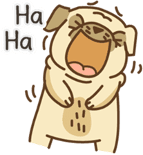 KaiToon (Eng) sticker #2874733