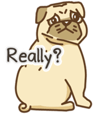 KaiToon (Eng) sticker #2874738