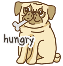 KaiToon (Eng) sticker #2874746