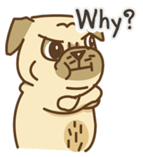 KaiToon (Eng) sticker #2874751