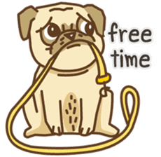 KaiToon (Eng) sticker #2874754