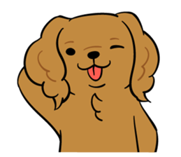 LOVE CKCS! sticker #2876578