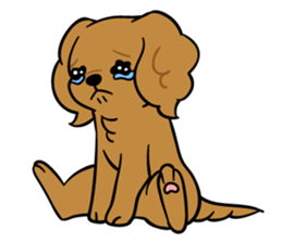 LOVE CKCS! sticker #2876584