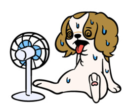 LOVE CKCS! sticker #2876601