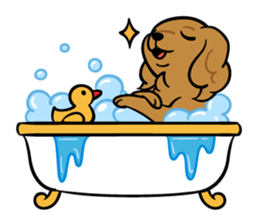 LOVE CKCS! sticker #2876606