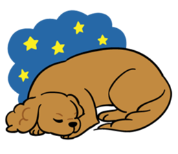 LOVE CKCS! sticker #2876610