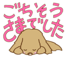 Message of Miniature Dachshund sticker #2877122