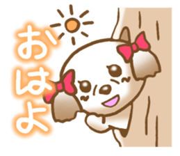 Shih Tzu's Sticker sticker #2878215