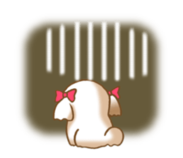 Shih Tzu's Sticker sticker #2878233