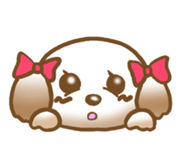 Shih Tzu's Sticker sticker #2878249