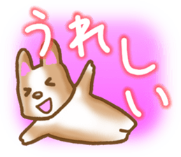 Pembroke Welsh Corgi's Sticker sticker #2878612