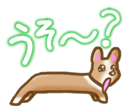 Pembroke Welsh Corgi's Sticker sticker #2878616