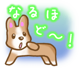 Pembroke Welsh Corgi's Sticker sticker #2878619