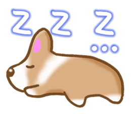 Pembroke Welsh Corgi's Sticker sticker #2878621