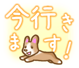 Pembroke Welsh Corgi's Sticker sticker #2878623