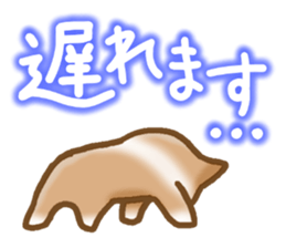 Pembroke Welsh Corgi's Sticker sticker #2878624