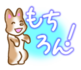 Pembroke Welsh Corgi's Sticker sticker #2878625