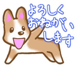 Pembroke Welsh Corgi's Sticker sticker #2878626