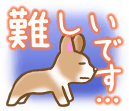 Pembroke Welsh Corgi's Sticker sticker #2878628