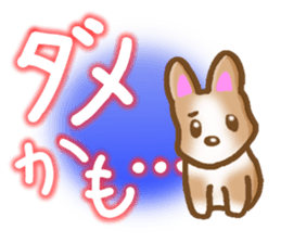 Pembroke Welsh Corgi's Sticker sticker #2878630
