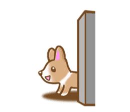 Pembroke Welsh Corgi's Sticker sticker #2878631