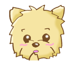 Sticker of the Yorkshire Terrier sticker #2878651