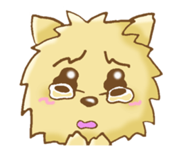 Sticker of the Yorkshire Terrier sticker #2878652