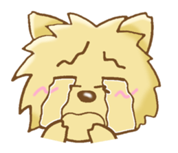 Sticker of the Yorkshire Terrier sticker #2878653