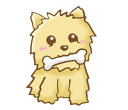 Sticker of the Yorkshire Terrier sticker #2878657