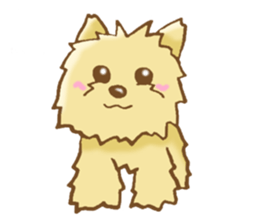 Sticker of the Yorkshire Terrier sticker #2878660