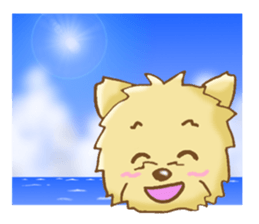 Sticker of the Yorkshire Terrier sticker #2878667