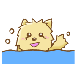 Sticker of the Yorkshire Terrier sticker #2878671