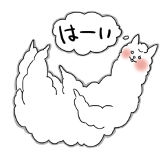 We love alpaca